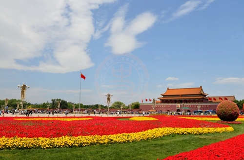 天安门花海.webp